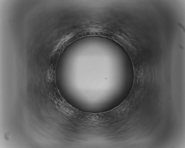 X0000101111207200806261404