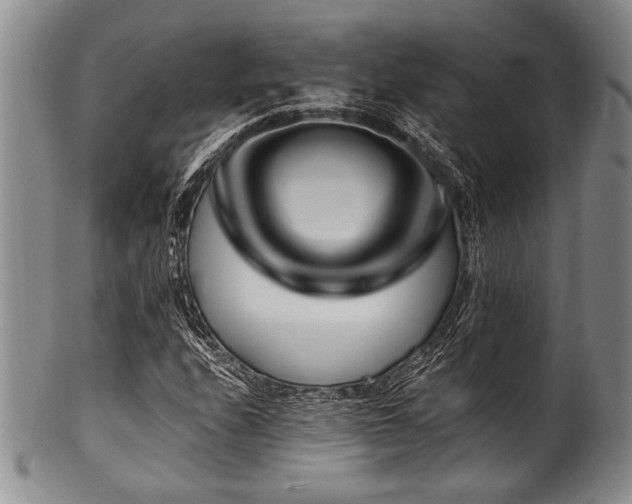 X0000101111208200806261404