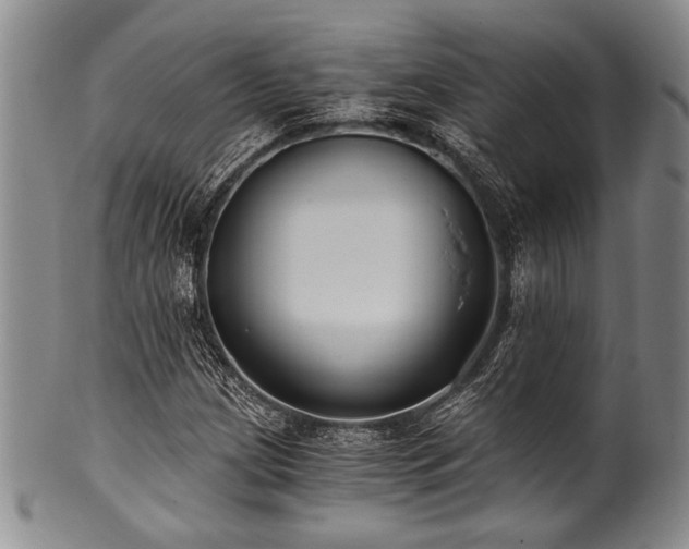 X0000101111209200806261404