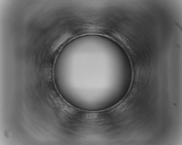 X0000101111211200806261404