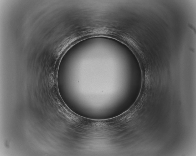 X0000101111212200806261404