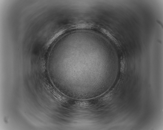 X0000101111213200806261404