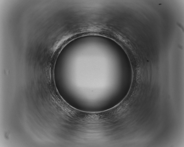 X0000101111214200806261404