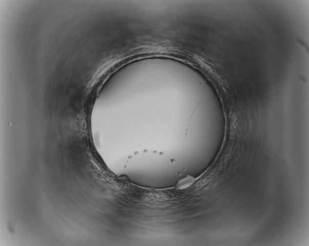 X0000101111215200806261404