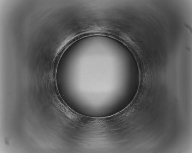 X0000101111216200806261404