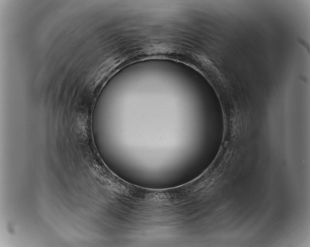 X0000101111217200806261404