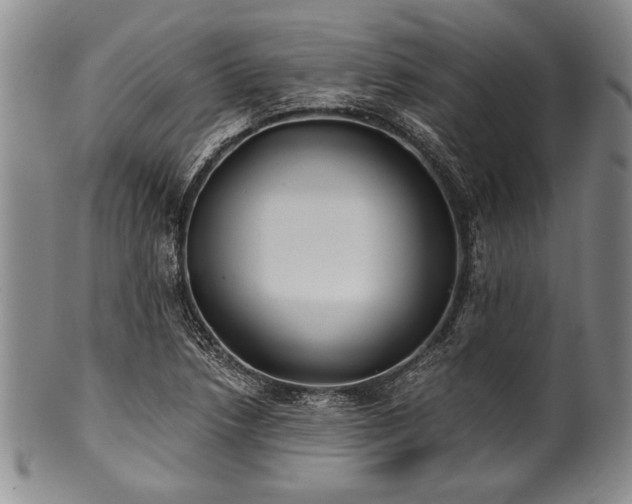 X0000101111218200806261404