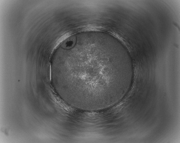 X0000101111219200806261404