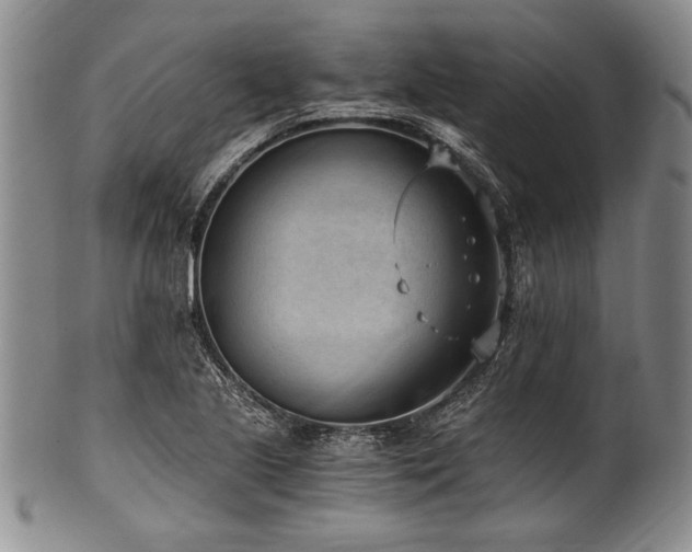 X0000101111221200806261404