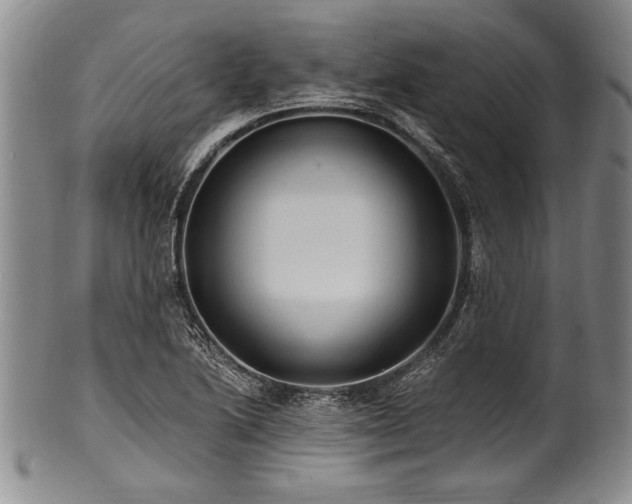 X0000101111222200806261404