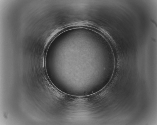 X0000101111224200806261405