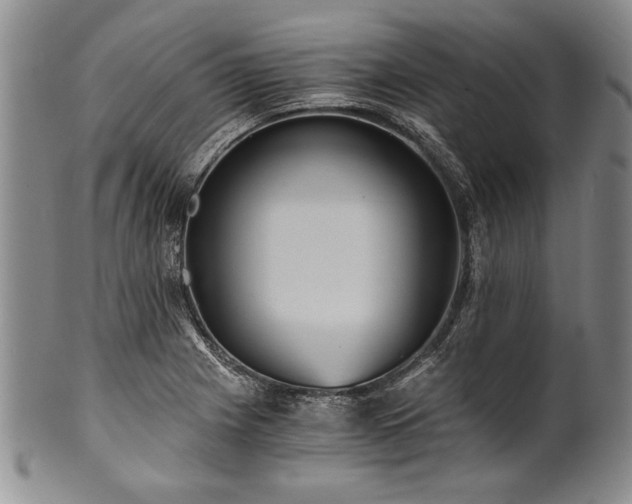 X0000101111225200806261405