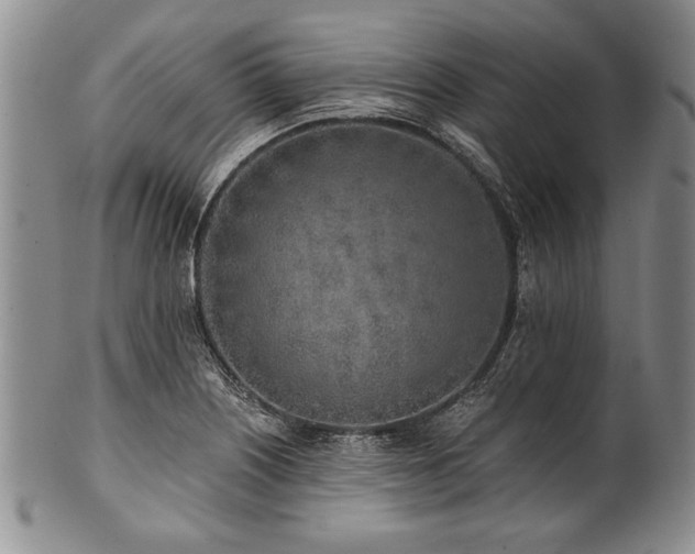 X0000101111226200806261405
