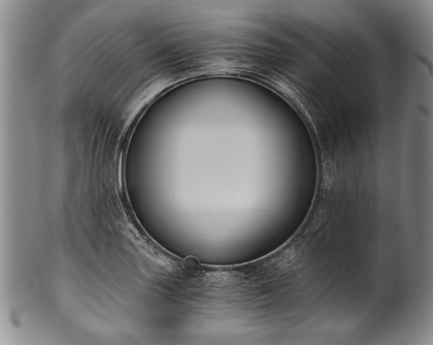 X0000101111227200806261405