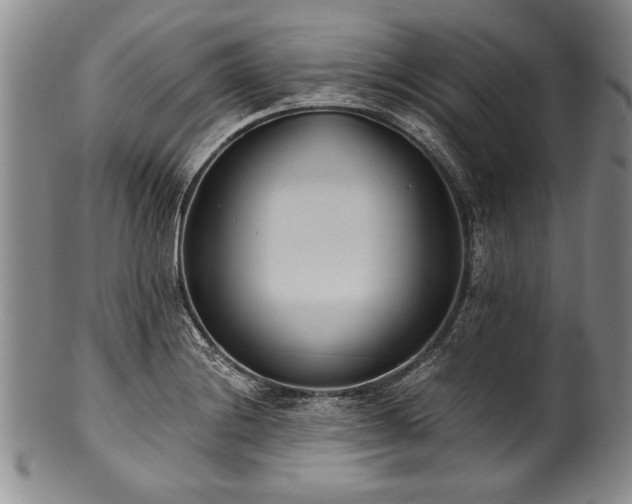 X0000101111228200806261405