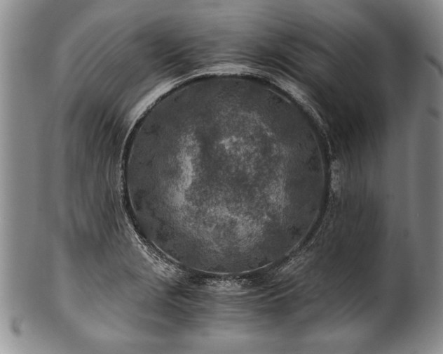 X0000101111229200806261405