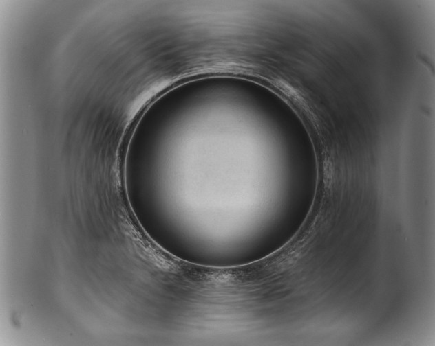 X0000101111230200806261405