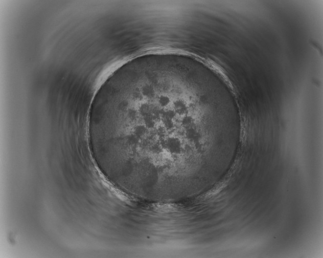 X0000101111231200806261405