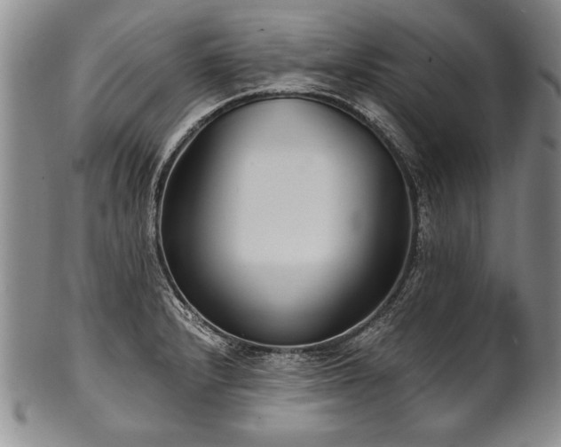 X0000101111232200806261405