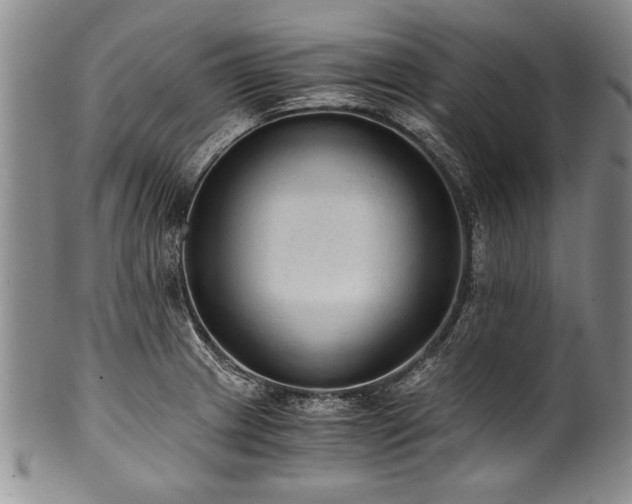 X0000101111233200806261405