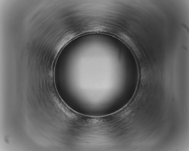 X0000101111234200806261405