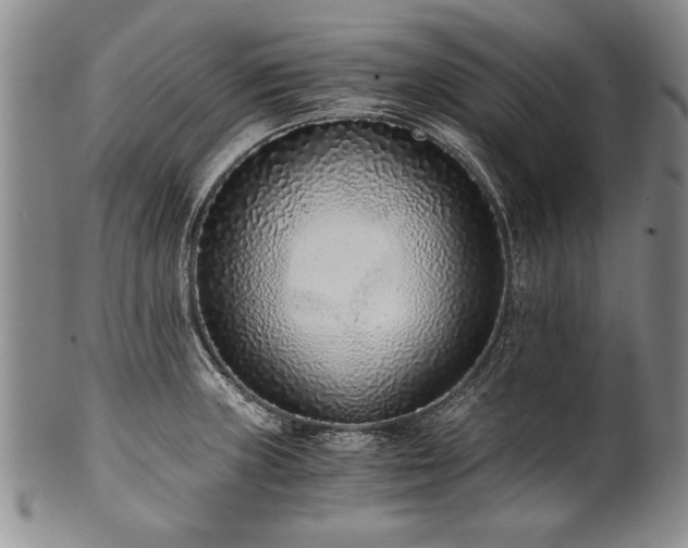 X0000101111235200806261405