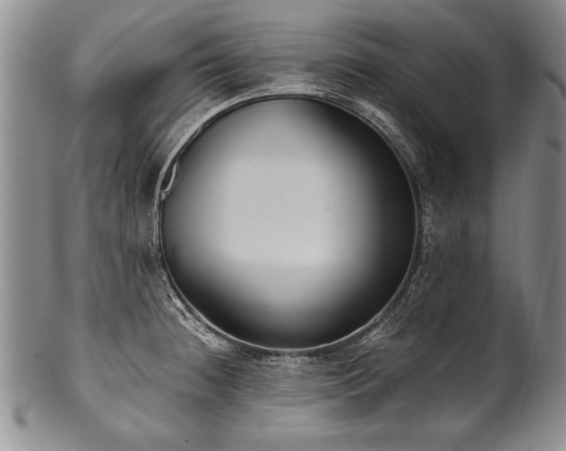 X0000101111236200806261405