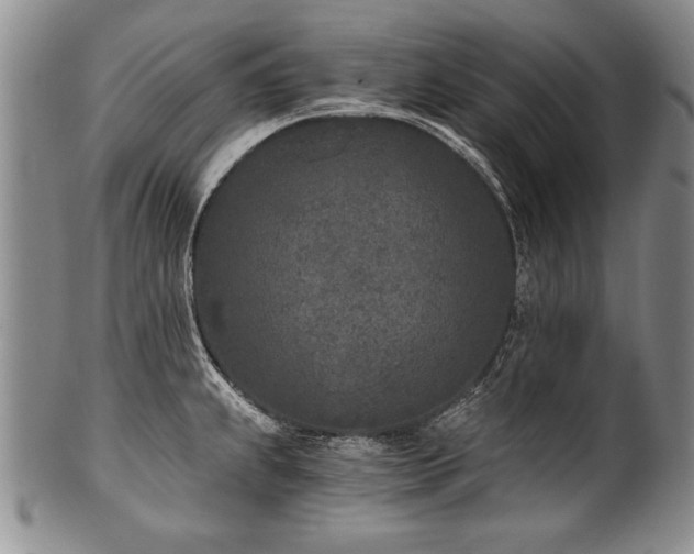 X0000101111239200806261405