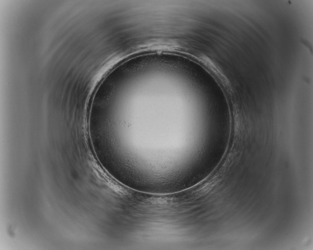X0000101111240200806261405