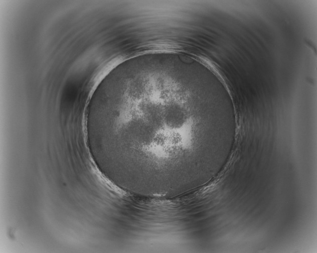 X0000101111243200806261405