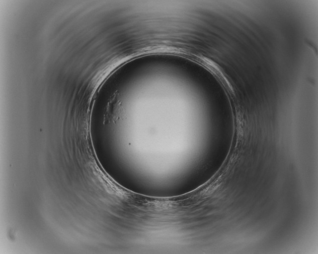 X0000101111244200806261405