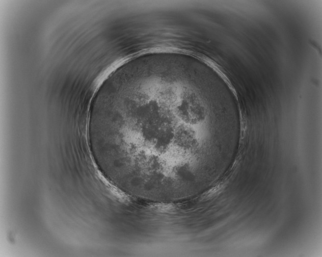 X0000101111245200806261405