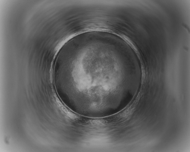X0000101111246200806261405