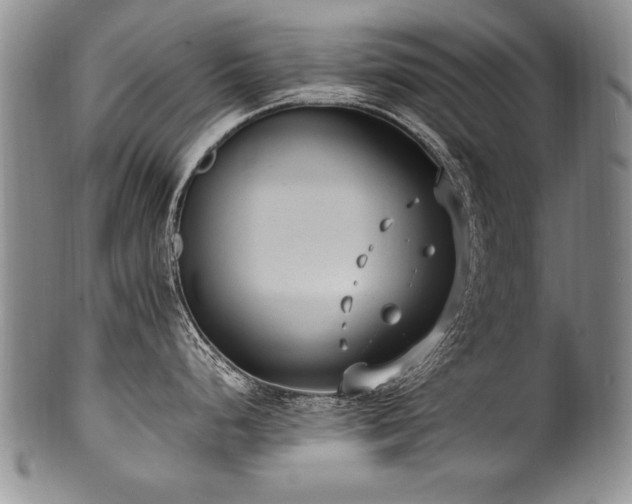 X0000101111248200806261405