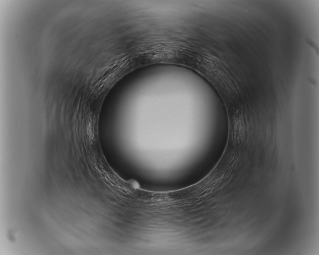 X0000101111250200806261404