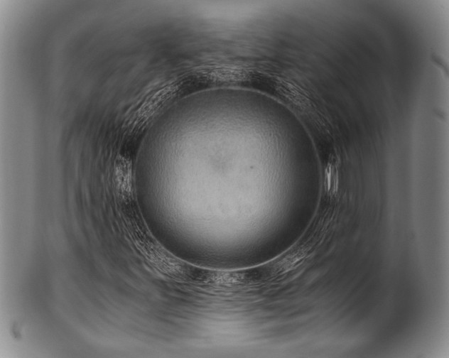 X0000101111251200806261404