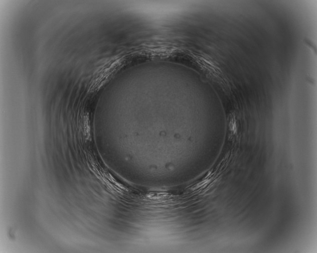 X0000101111252200806261404