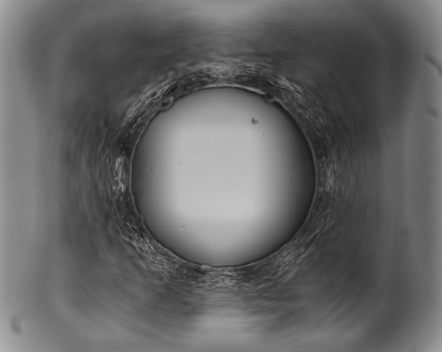 X0000101111253200806261404