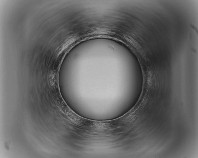 X0000101111258200806261404