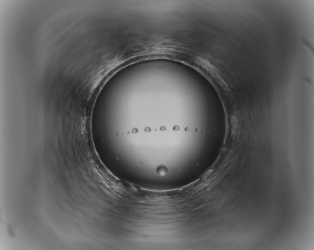 X0000101111260200806261404