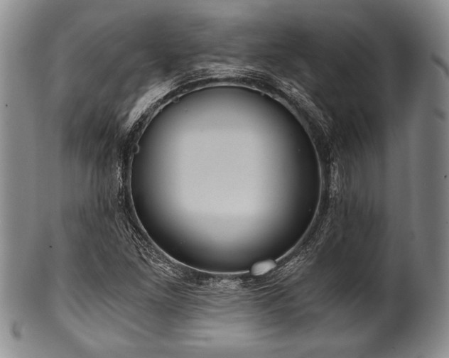 X0000101111261200806261404