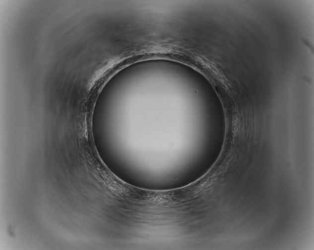 X0000101111262200806261404