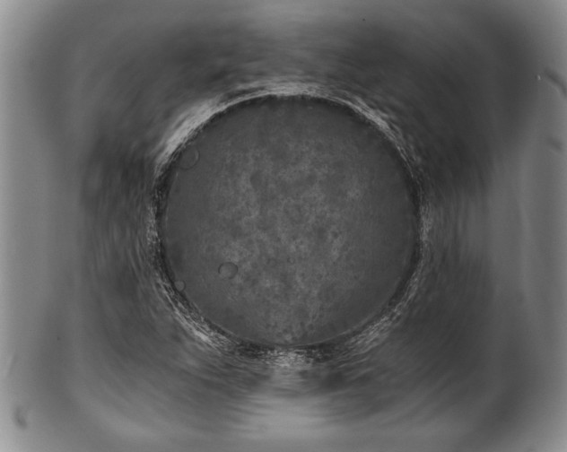 X0000101111263200806261404