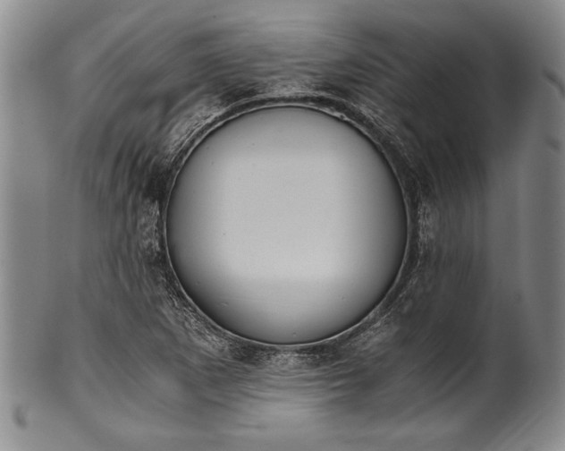 X0000101111265200806261404