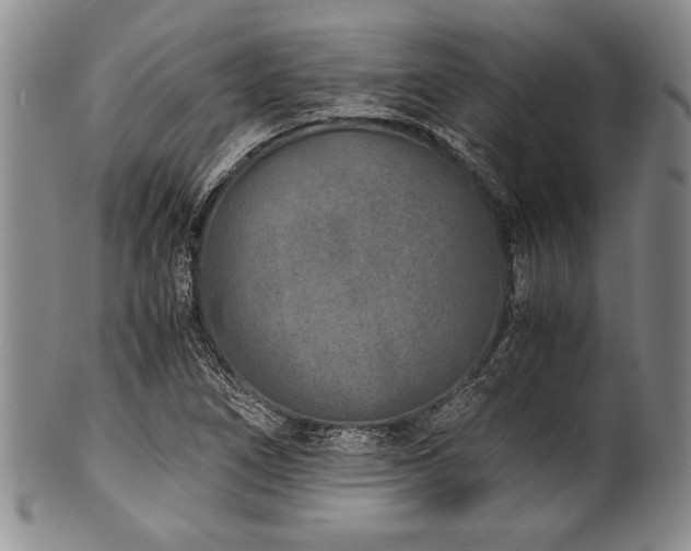 X0000101111266200806261404