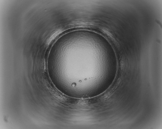 X0000101111267200806261404