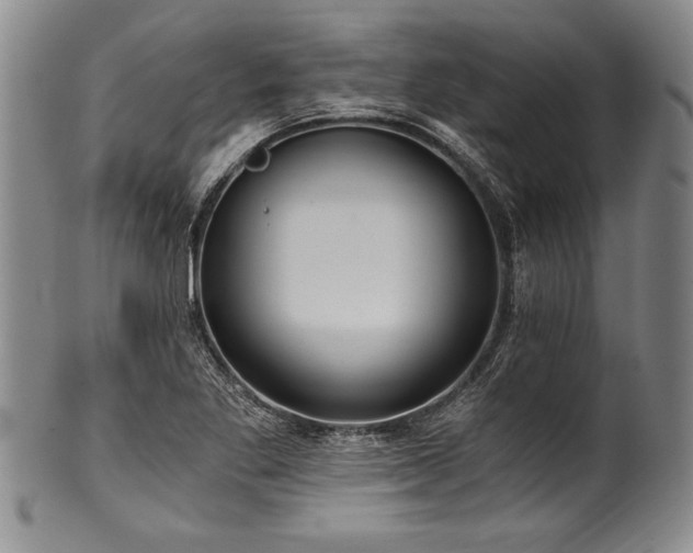 X0000101111269200806261404