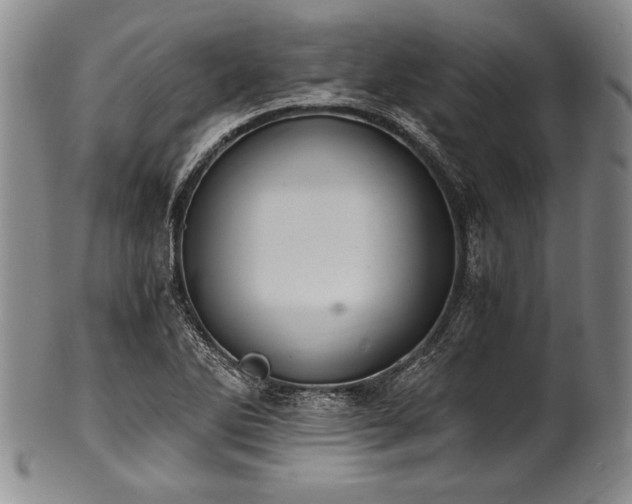 X0000101111270200806261404
