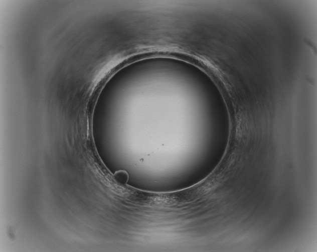 X0000101111271200806261404