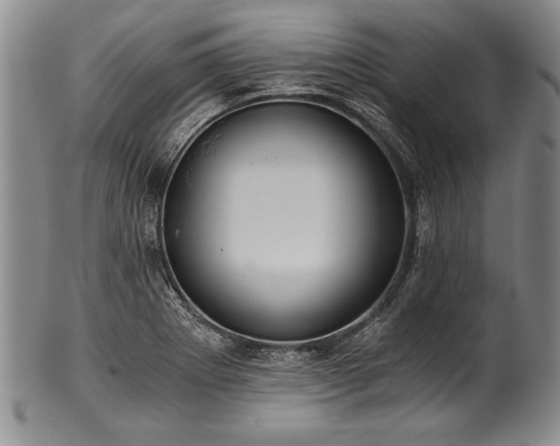 X0000101111273200806261404